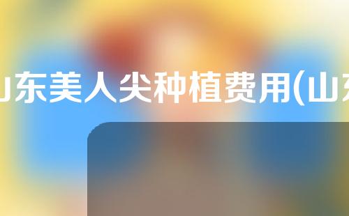 山东美人尖种植费用(山东美人尖种植费用多少)