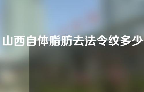 山西自体脂肪去法令纹多少钱(自体脂肪法令纹填充一般多少钱)