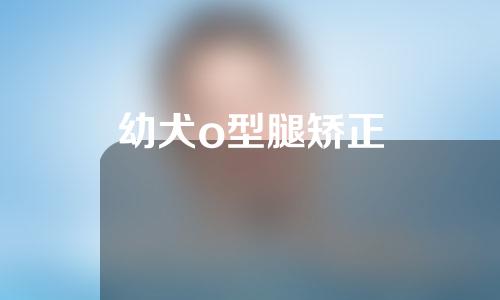 幼犬o型腿矫正