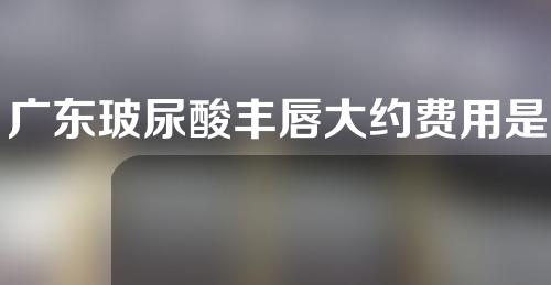 广东玻尿酸丰唇大约费用是多少(广东玻尿酸丰唇大约费用是多少钱)