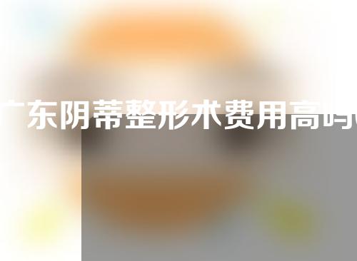 广东阴蒂整形术费用高吗(私密整形手术是怎么回事？)