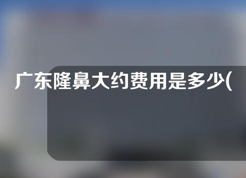 广东隆鼻大约费用是多少(广东隆鼻大约费用是多少钱)