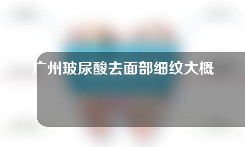 广州玻尿酸去面部细纹大概需要多少钱(广州玻尿酸大概多少钱一支)