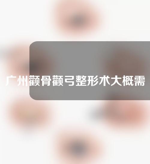 广州颧骨颧弓整形术大概需要多少钱(广州颧骨颧弓整形术大概需要多少钱呢)