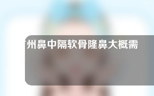 广州鼻中隔软骨隆鼻大概需要多少钱(广州鼻中隔偏曲矫正手术多少钱)