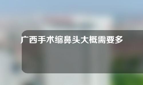 广西手术缩鼻头大概需要多少钱(广西手术缩鼻头大概需要多少钱呢)