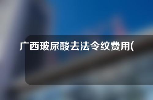 广西玻尿酸去法令纹费用(玻尿酸去法令纹价格)