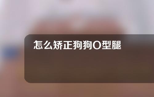 怎么矫正狗狗O型腿