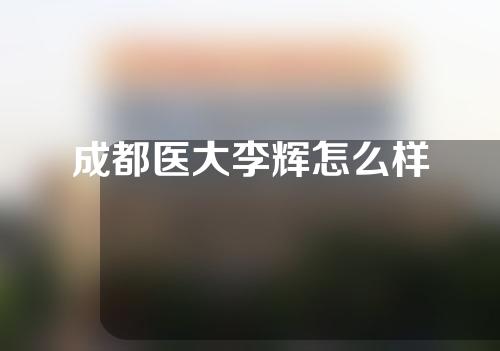 成都医大李辉怎么样