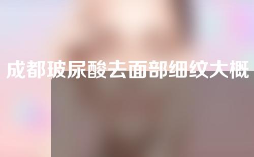 成都玻尿酸去面部细纹大概需要多少钱(成都玻尿酸多少钱一针贵吗)