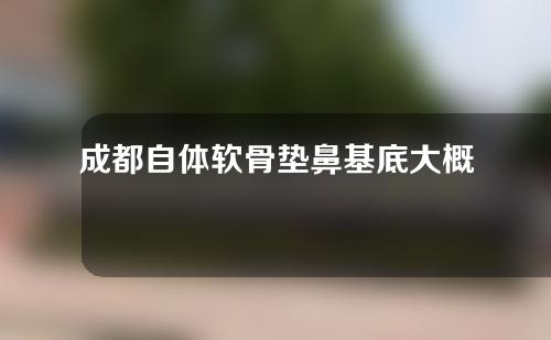 成都自体软骨垫鼻基底大概需要多少钱(自体软骨垫鼻基底维持多久)