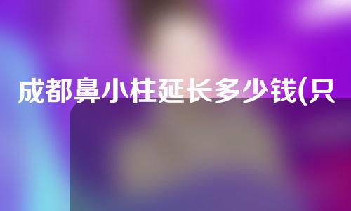 成都鼻小柱延长多少钱(只做鼻小柱延长多少钱)