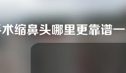手术缩鼻头哪里更靠谱一些
