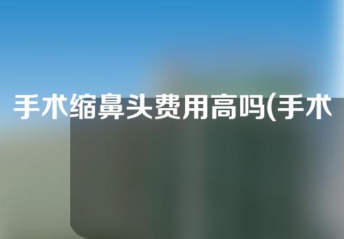 手术缩鼻头费用高吗(手术缩鼻头费用高吗多少钱)