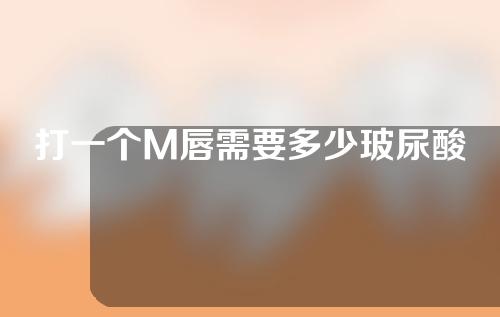 打一个M唇需要多少玻尿酸