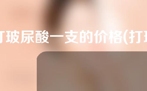 打玻尿酸一支的价格(打玻尿酸一针的价格)
