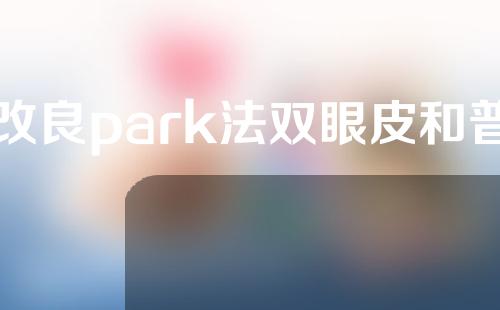 改良park法双眼皮和普通全切(park法双眼皮和普通全切的区别)