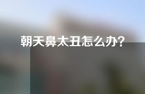 朝天鼻太丑怎么办？