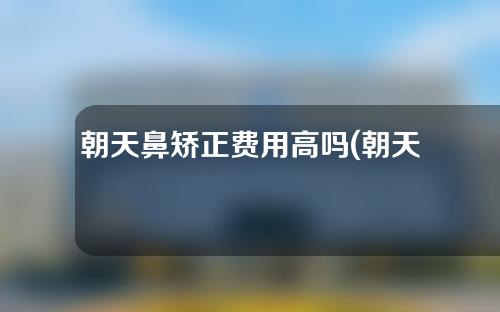 朝天鼻矫正费用高吗(朝天鼻矫正收费标准：一篇详细的报导)