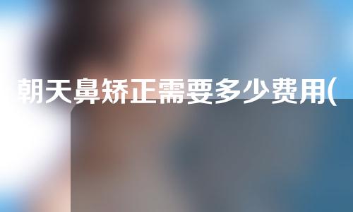 朝天鼻矫正需要多少费用(朝天鼻矫正需要多少钱)