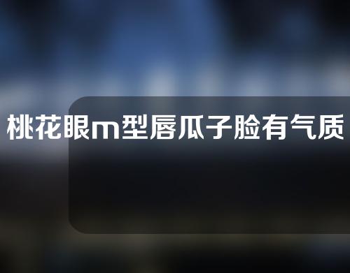 桃花眼m型唇瓜子脸有气质吗