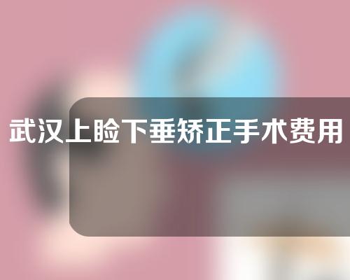 武汉上睑下垂矫正手术费用