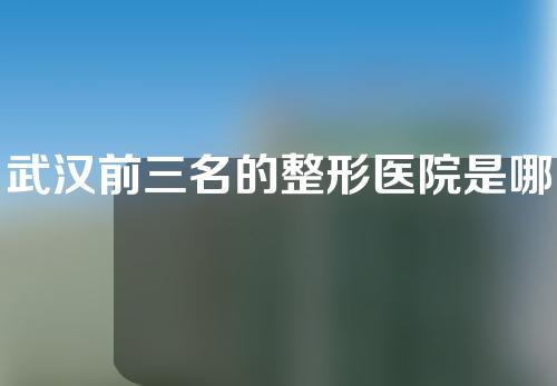 武汉前三名的整形医院是哪几家