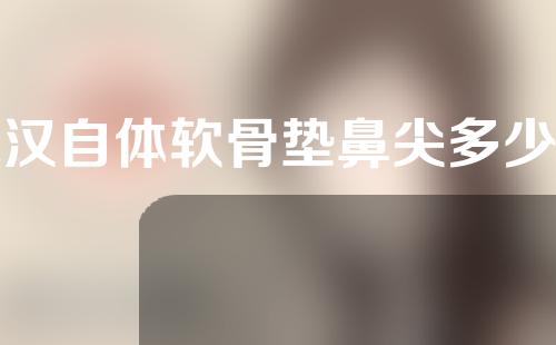 武汉自体软骨垫鼻尖多少钱(自体软骨垫鼻子费用一般多少钱啊)