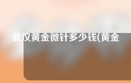 武汉黄金微针多少钱(黄金微针多少钱1次)