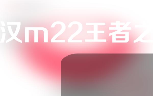 武汉m22王者之冠