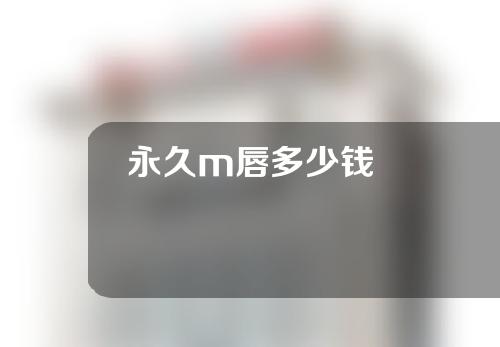 永久m唇多少钱