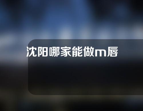 沈阳哪家能做m唇