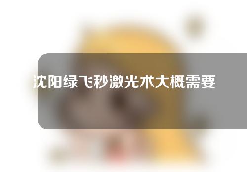 沈阳绿飞秒激光术大概需要多少钱(沈阳全飞秒激光手术多少钱一次)