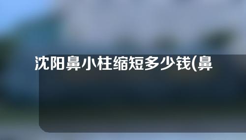 沈阳鼻小柱缩短多少钱(鼻小柱整形手术多少钱)