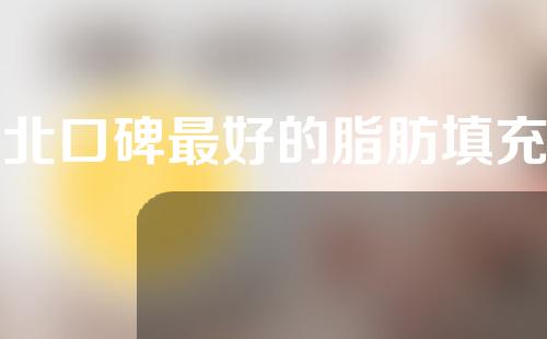 河北口碑最好的脂肪填充整形医院排名前五，现代丽人，友爱，雷胜辉整形美容等放心选择~