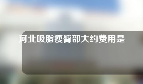 河北吸脂瘦臀部大约费用是多少(沧州吸脂多少钱)