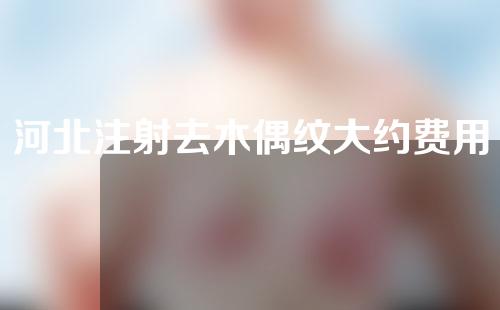 河北注射去木偶纹大约费用是多少(木偶纹注射点)