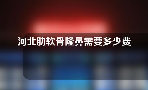河北肋软骨隆鼻需要多少费用(肋软骨隆鼻花了多少钱)