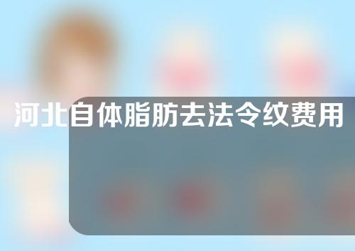 河北自体脂肪去法令纹费用高吗(自体脂肪消除法令纹费用)