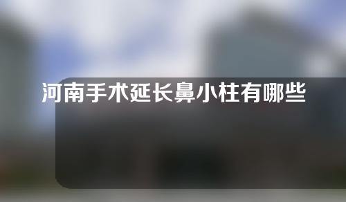 河南手术延长鼻小柱有哪些价位的选择