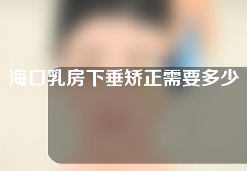海口乳房下垂矫正需要多少费用(海口乳房下垂矫正需要多少费用呢)