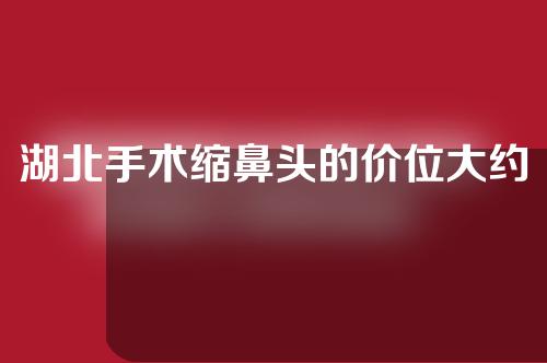 湖北手术缩鼻头的价位大约是多少
