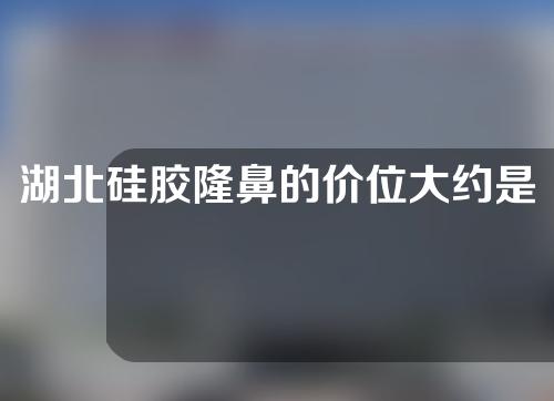 湖北硅胶隆鼻的价位大约是多少