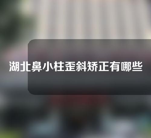 湖北鼻小柱歪斜矫正有哪些价位的选择