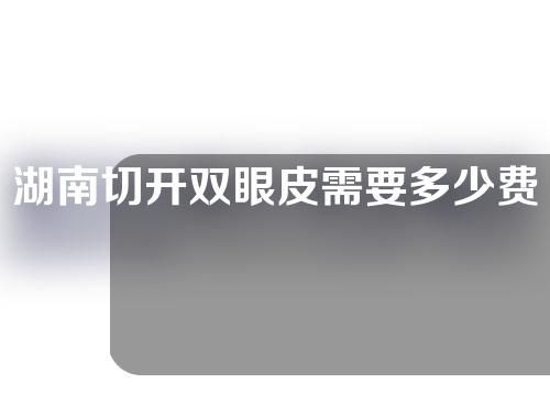 湖南切开双眼皮需要多少费用(湖南切开双眼皮需要多少费用呢)