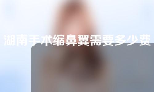 湖南手术缩鼻翼需要多少费用(湖南手术缩鼻翼需要多少费用呢)