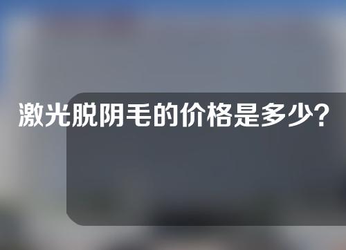 激光脱阴毛的价格是多少？