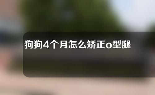 狗狗4个月怎么矫正o型腿