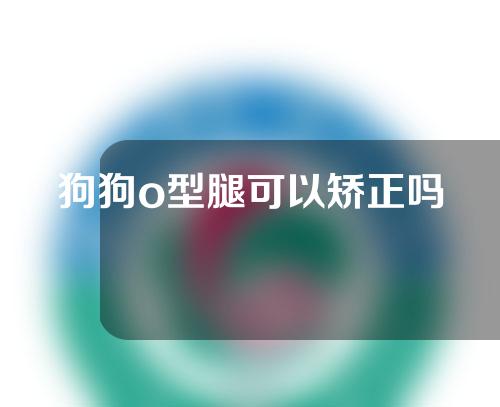 狗狗o型腿可以矫正吗