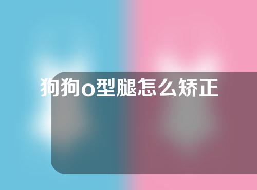 狗狗o型腿怎么矫正
